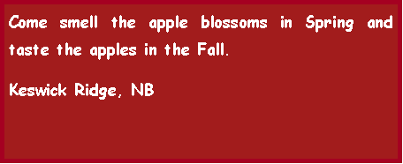 Text Box: Come smell the apple blossoms in Spring and taste the apples in the Fall.
Keswick Ridge, NB